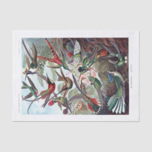 Papel De Seda Humingbird Impresión de Arte Vintage
