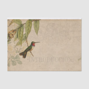 Papel De Seda Hummingbird Ephemera