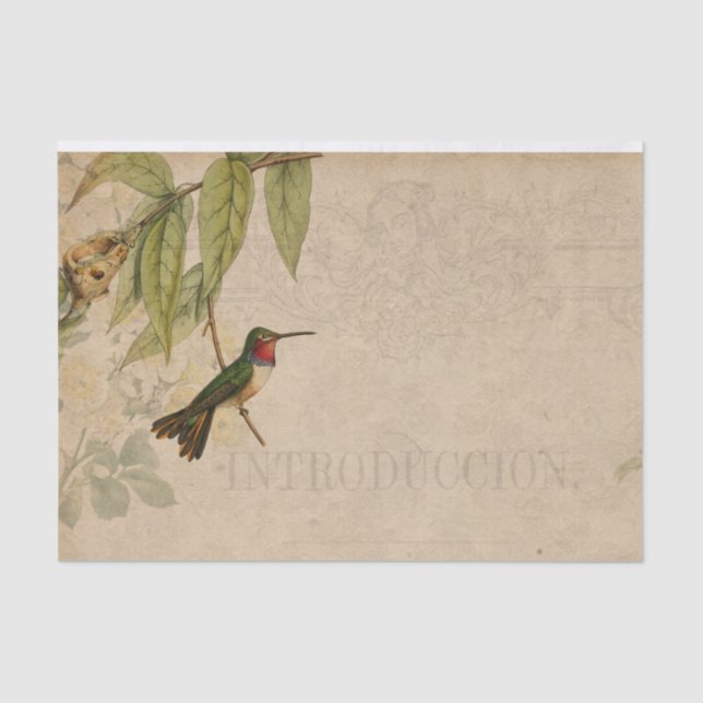 Papel De Seda Hummingbird Ephemera (Anverso)