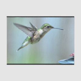 Papel De Seda Hummingbird Green Flight Photo Willife
