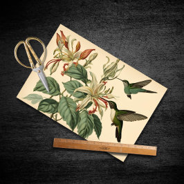 Papel De Seda Hummingbirds vintage y descomposición de la succió