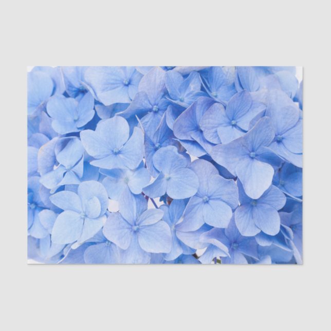 Papel De Seda Hydrangea (Anverso)