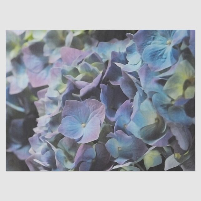 Papel De Seda Hydrangea azul (Anverso)