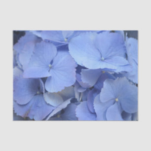 Papel De Seda Hydrangea azul bonito