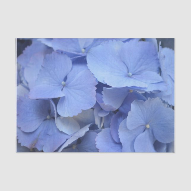 Papel De Seda Hydrangea azul bonito (Anverso)