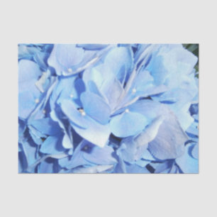 Papel De Seda Hydrangea azul claro