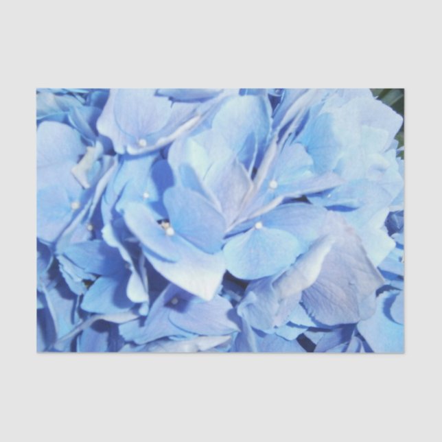 Papel De Seda Hydrangea azul claro (Anverso)
