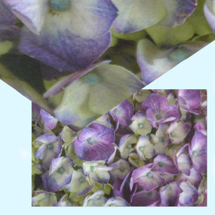 Papel De Seda Hydrangea Botánica Floral Fotográfica Púrpura
