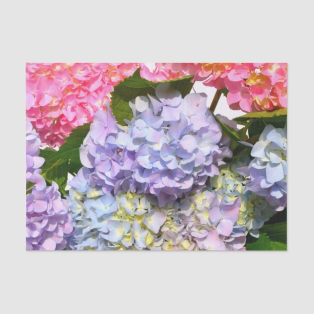 Papel De Seda Hydrangea Bouquet (Anverso)