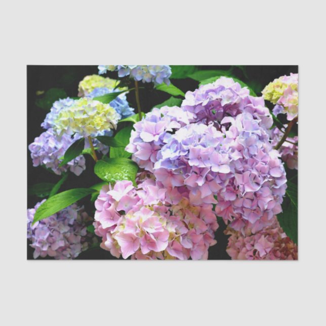 Papel De Seda Hydrangea garden, rosa, azul, violeta floral (Anverso)
