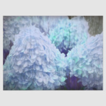 Hydrangea Vintage Blue Verde azulada Sketch Rustic