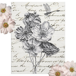 Papel De Seda Idea de descodificación de guiones franceses de Dr