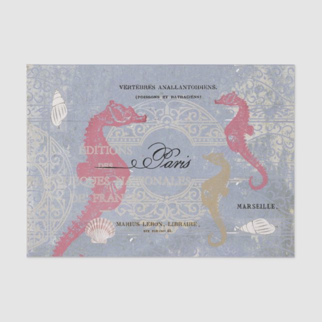 Papel De Seda Idea de deshielo azul del Shell marino rosa (Anverso)