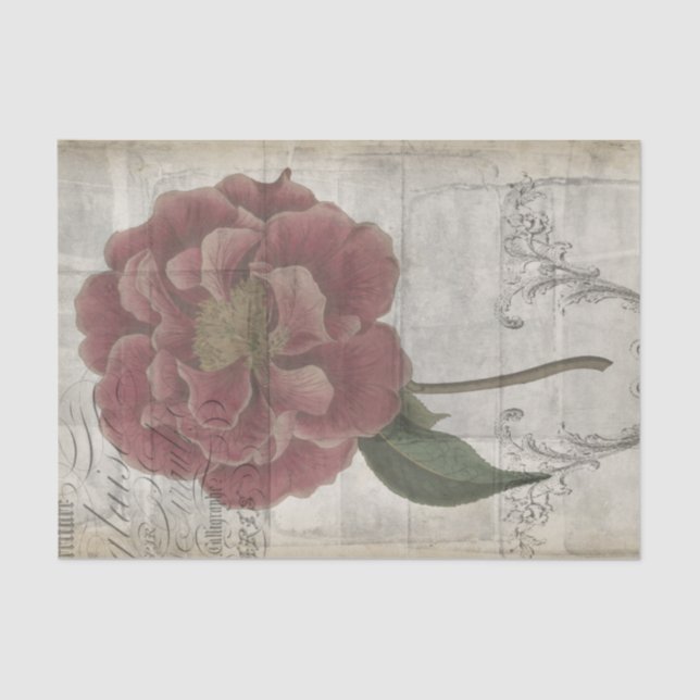 Papel De Seda III floral francés (Anverso)