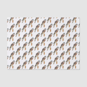 Papel De Seda Ilustracion americano de aves de Kestrel