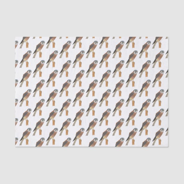 Papel De Seda Ilustracion americano de aves de Kestrel (Anverso)