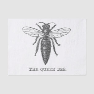 Papel De Seda Ilustración Antigüa de Insecto Avispa Abeja Reina
