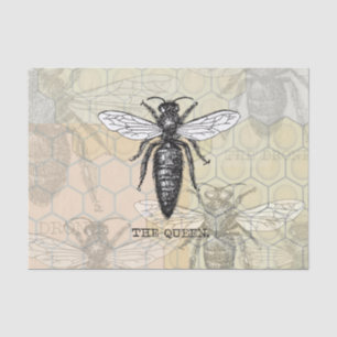 Papel De Seda Ilustración antigua de insecto bug abeja reina