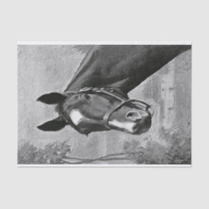 Papel De Seda Ilustracion antiguo blanco y negro del caballo del