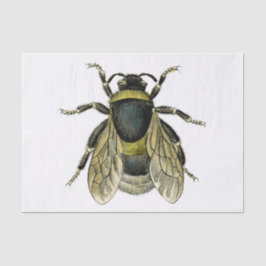 Papel De Seda ilustracion antiguo de Bee
