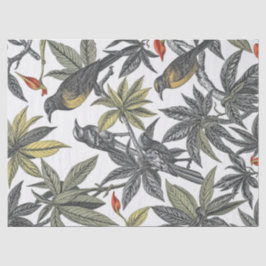 Papel De Seda Ilustración Audaz de Aves Tropicales