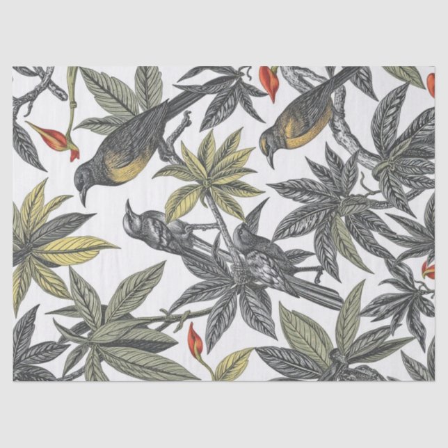 Papel De Seda Ilustración Audaz de Aves Tropicales (Anverso)