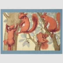 Ilustración de ardillas rojas vintage de la natura