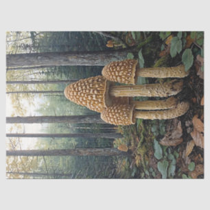 Papel De Seda Ilustración de decoupage de champiñones morel rúst