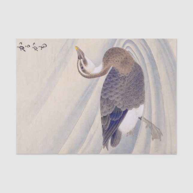 Papel De Seda Ilustracion de época: pato al horno (Anverso)