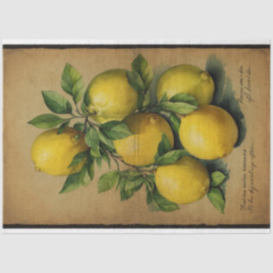 Papel De Seda Ilustracion de fruta limón Ephemera No1