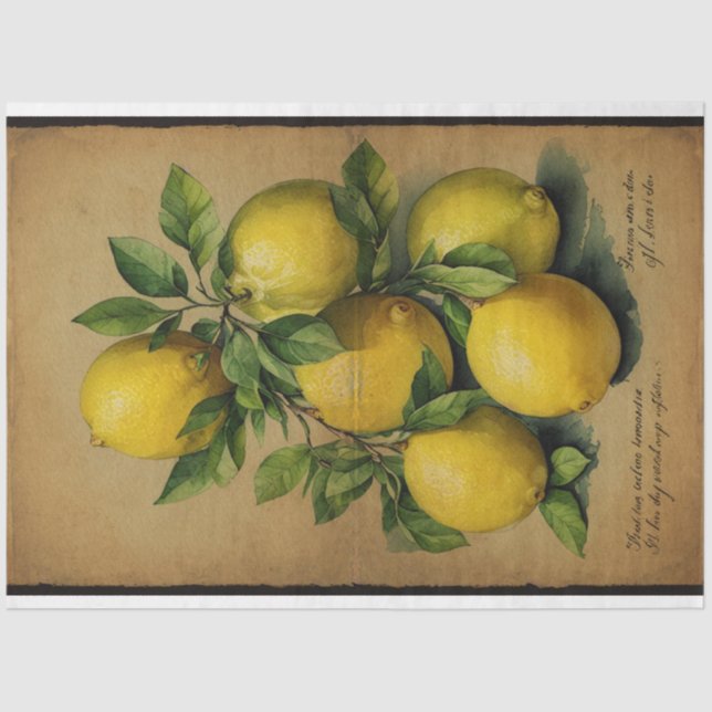Papel De Seda Ilustracion de fruta limón Ephemera No1 (Anverso)