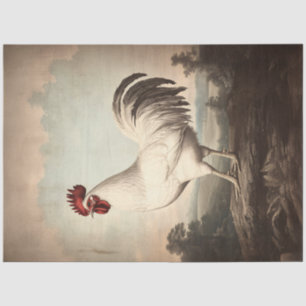 Papel De Seda Ilustración de Gallo Blanco Decoupage Vintage
