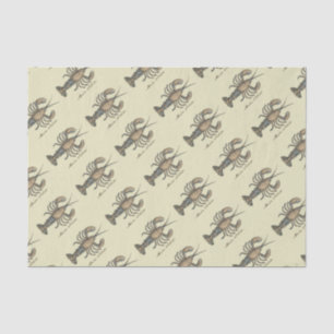 Papel De Seda Ilustracion de langosta Antique Maine