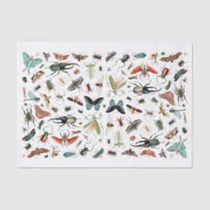 Papel De Seda Ilustracion de libros antiguos de insectos y marip