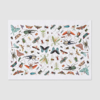 Papel De Seda Ilustracion de libros antiguos de insectos y marip