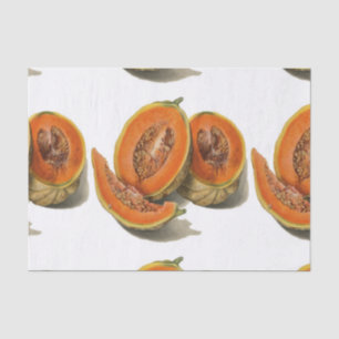 Papel De Seda Ilustracion de melón cantaloupe en rodajas