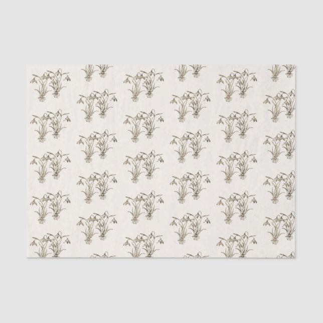 Papel De Seda Ilustracion de nieve virgen sobre marfil  (Anverso)