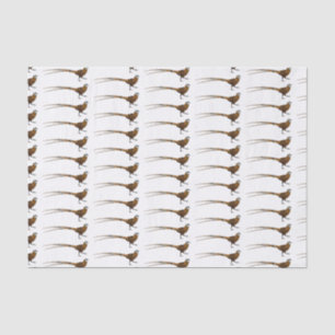 Papel De Seda Ilustracion de pájaro faisán de Reeves