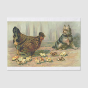 Papel De Seda Ilustracion de perro de pollo