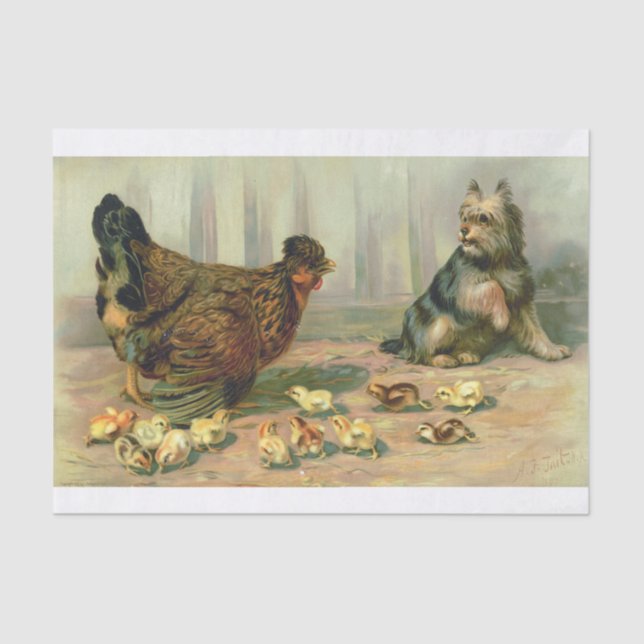 Papel De Seda Ilustracion de perro de pollo (Anverso)