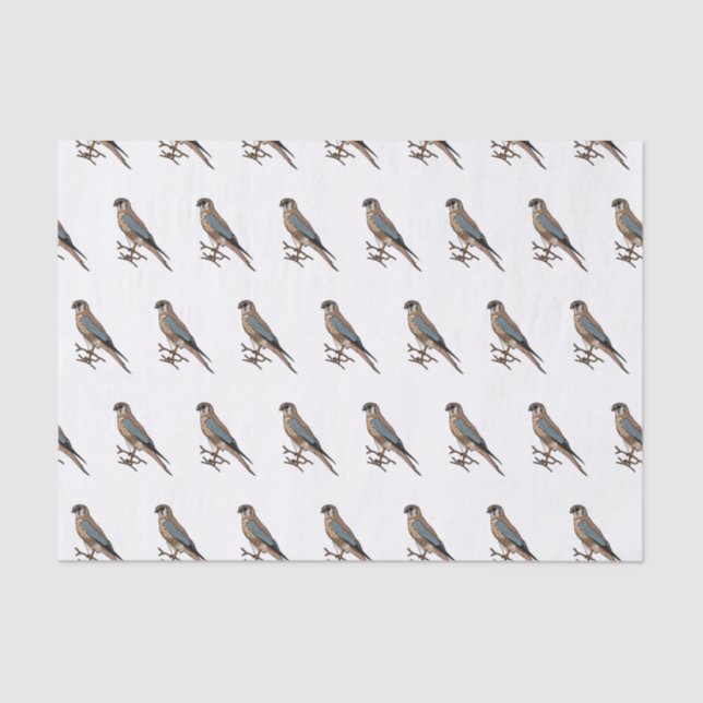 Papel De Seda Ilustracion de personalizado de aves de corral de  (Anverso)