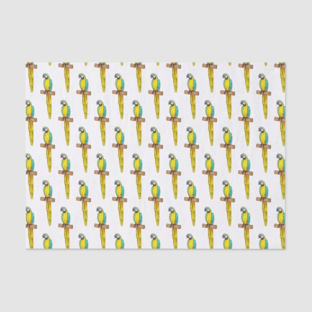 Papel De Seda Ilustracion de personalizado de aves de macao azul (Anverso)