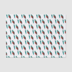 Papel De Seda Ilustracion de personalizado de aves quetzales res