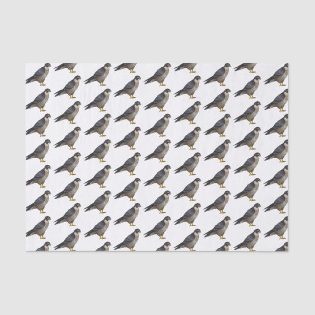 Papel De Seda Ilustracion de personalizado de halcón peregrino (Anverso)