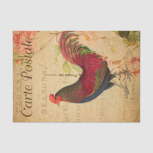 Papel De Seda Ilustracion de Pollo Vintage Hen Rooster Francés