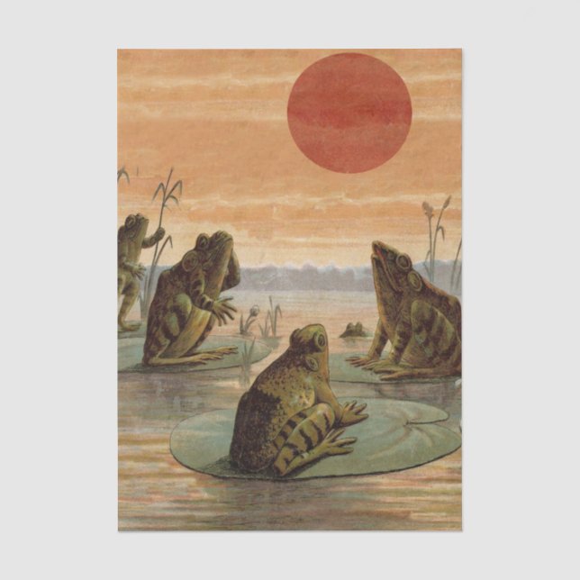 Papel De Seda Ilustración de ranas almohadillas de lirio luna (Anverso)
