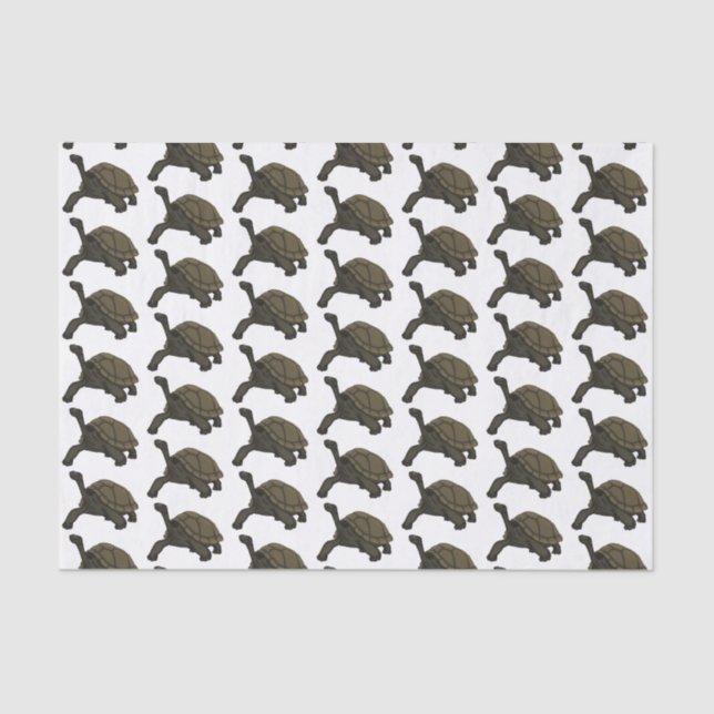 Papel De Seda Ilustracion de tortugas terrestres de Galápagos (Anverso)