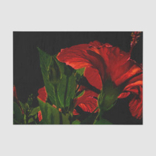Papel De Seda Ilustracion fotográfico de Hibiscus Flower en alto