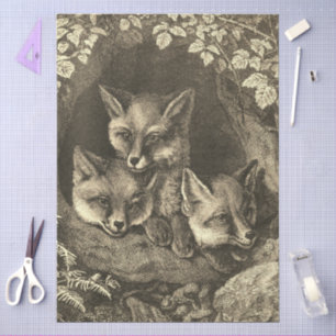 Papel De Seda Ilustración marrón de zorrito bebé vintage en bosq