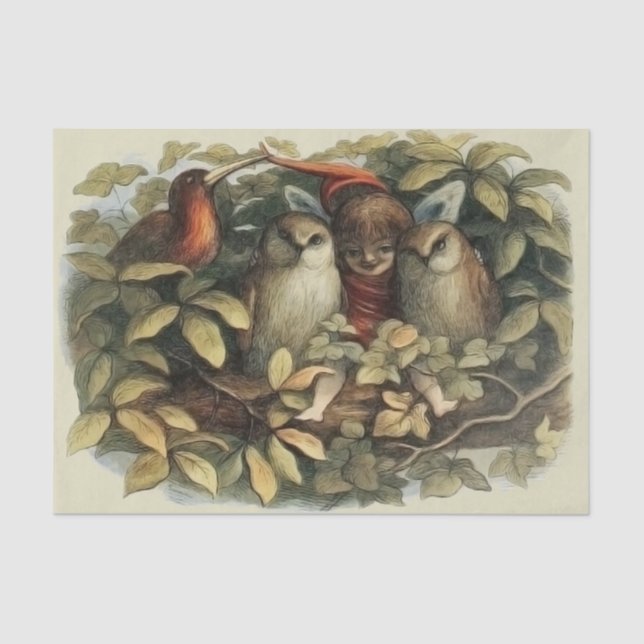 Papel De Seda Ilustracion Natural de las Lechuzas y las Fe de El (Anverso)